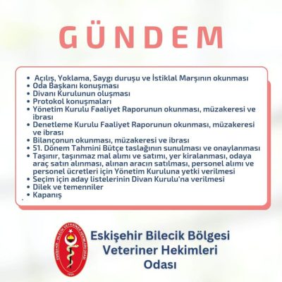 Genel Kurul Seçim Takvimi (2)