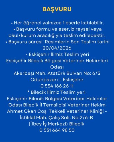 Resim Yarışmamıza Her Yaş Grubundan Katılım Sağlanabilir (4)