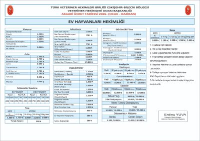 Ev Hayvanları Hekimliği