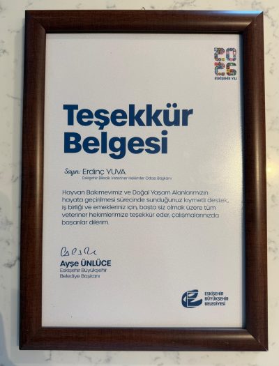 Hayvan Bakım Evi'nde Gönüllü Hekimlik Çalışmalarımız Sürüyor (4)