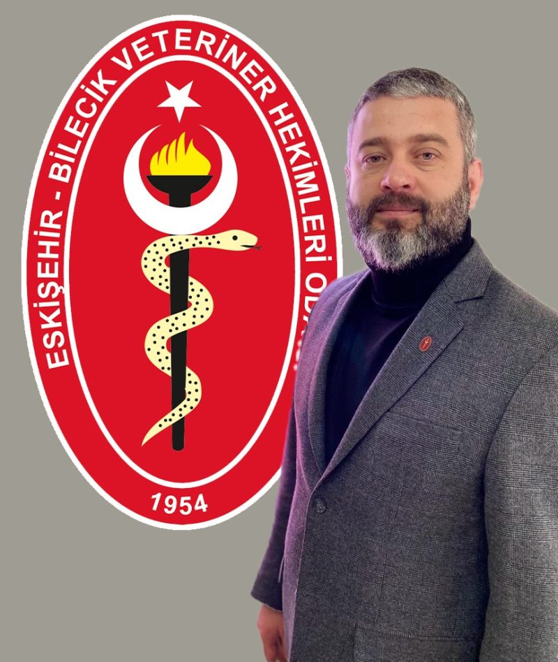 Ali SARI