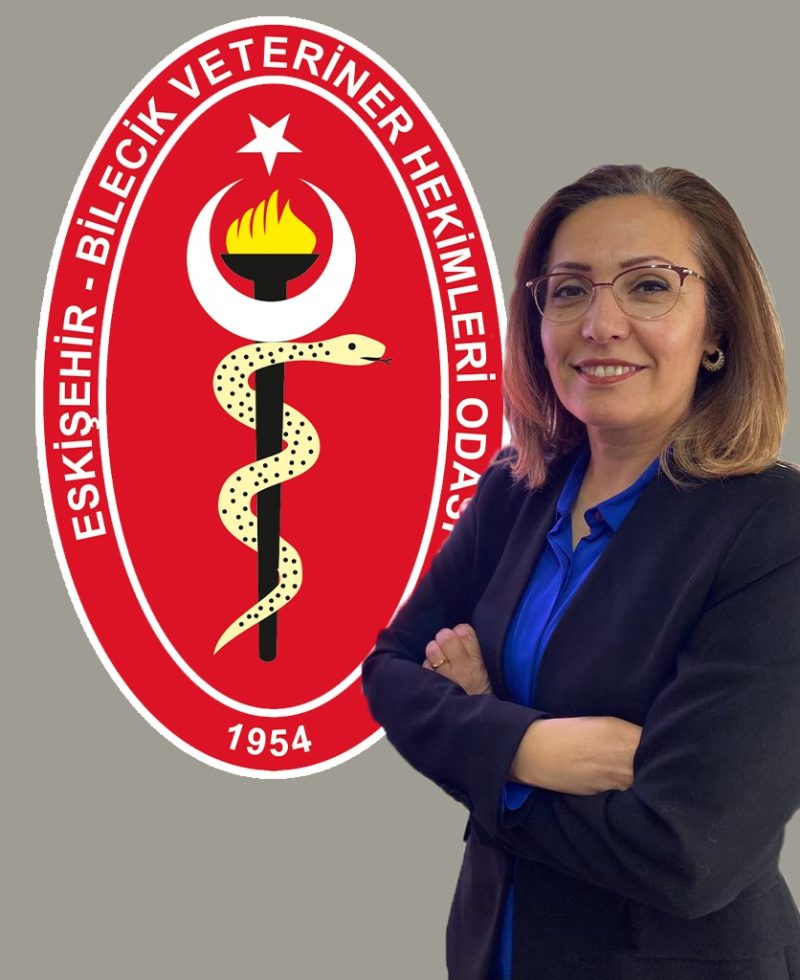 Naciye İNAN